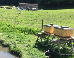 Agroturistika Velké Karlovice