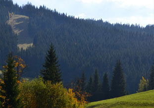 ubytování v soukromí Lésková