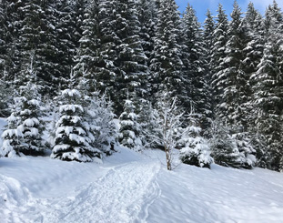 Běžkařské trasy Beskydy