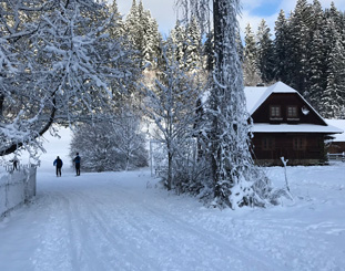 Běžkařská trasa Velké Karlovice